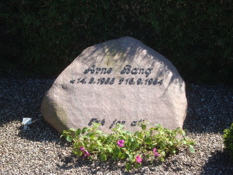 Arne Bang.jpg